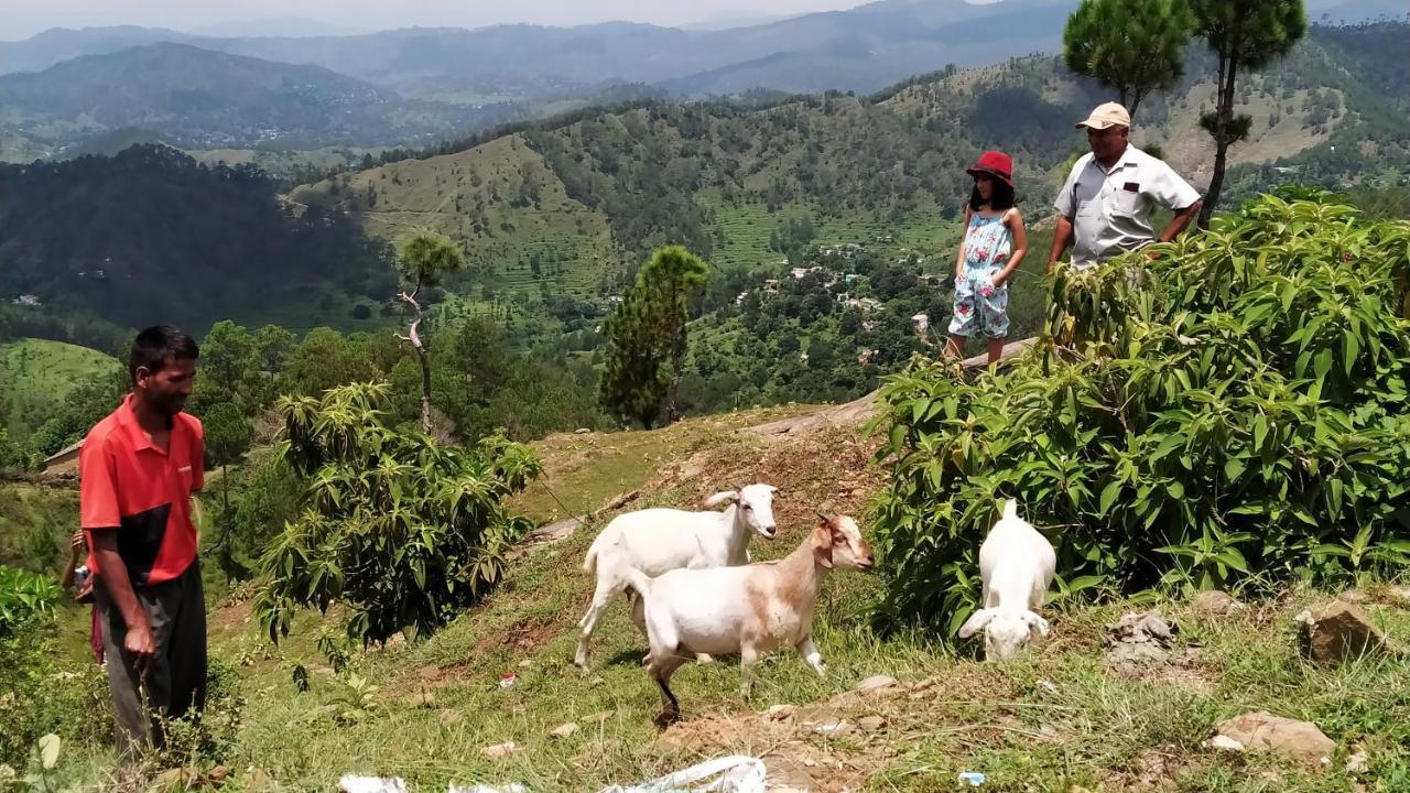 Dwarahat Village Farmstay- Babaji'S Cave 외부 사진