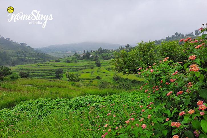 Dwarahat Village Farmstay- Babaji'S Cave 외부 사진