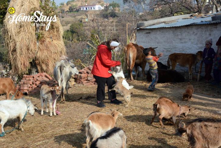 Dwarahat Village Farmstay- Babaji'S Cave 외부 사진
